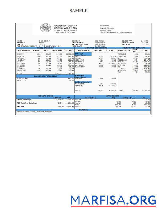 Blank Galveston County Payroll Check Stub example
